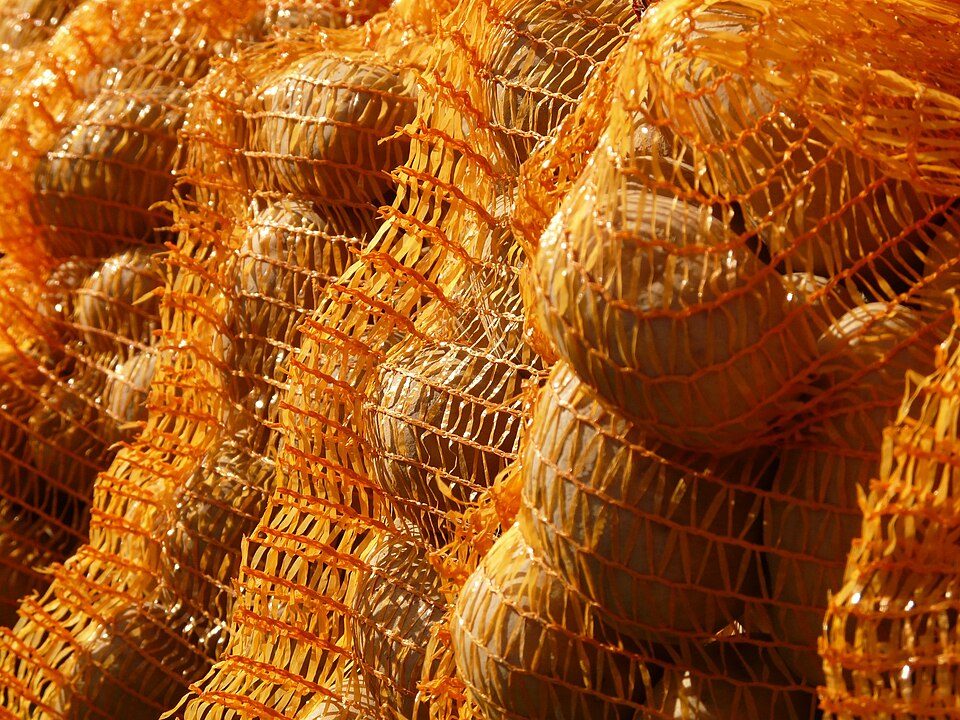 Quintal de papas chola